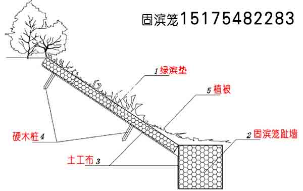 固濱籠護岸